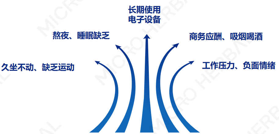 尊龙凯时人生就是博·(中国游)官网